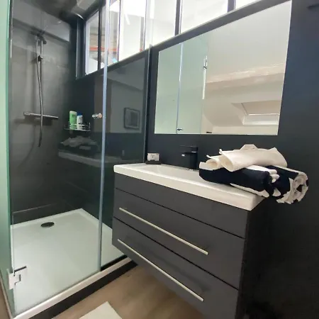 Rep4 - Loft 3 Pieces Avec Ascenseur Prive Cannes